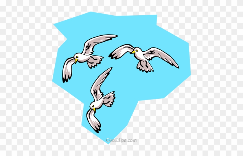 Birds, Seagulls Royalty Free Vector Clip Art Illustration - Lighthouse Keepers Lunch Seagulls #1249837