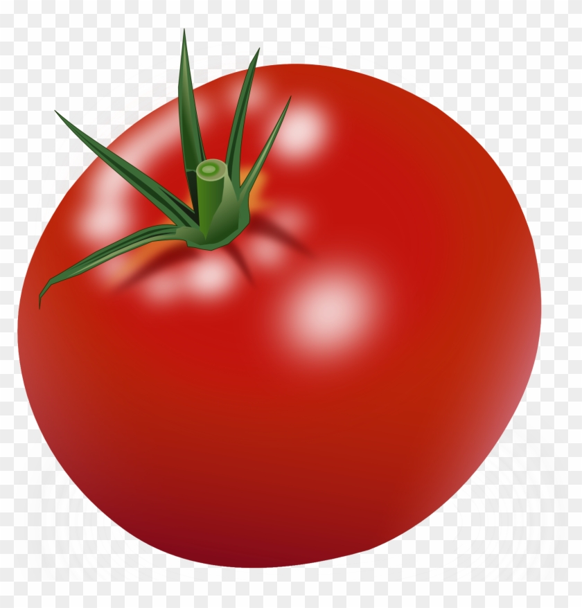 Tomato Clipart #1250182