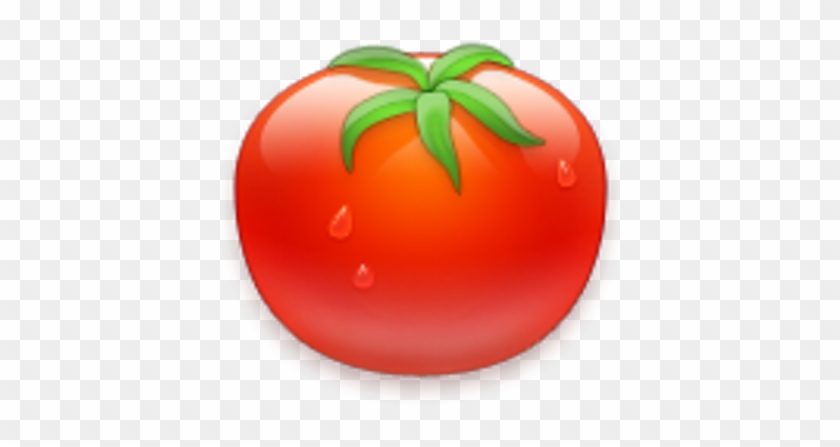 Tomato Timer - Plum Tomato #1250184