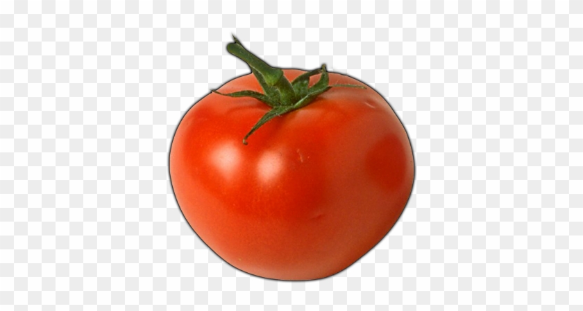 Click Here To See Tomato Album - Man Who Can T Visualize A Horse Galloping On A Tomato #1250202