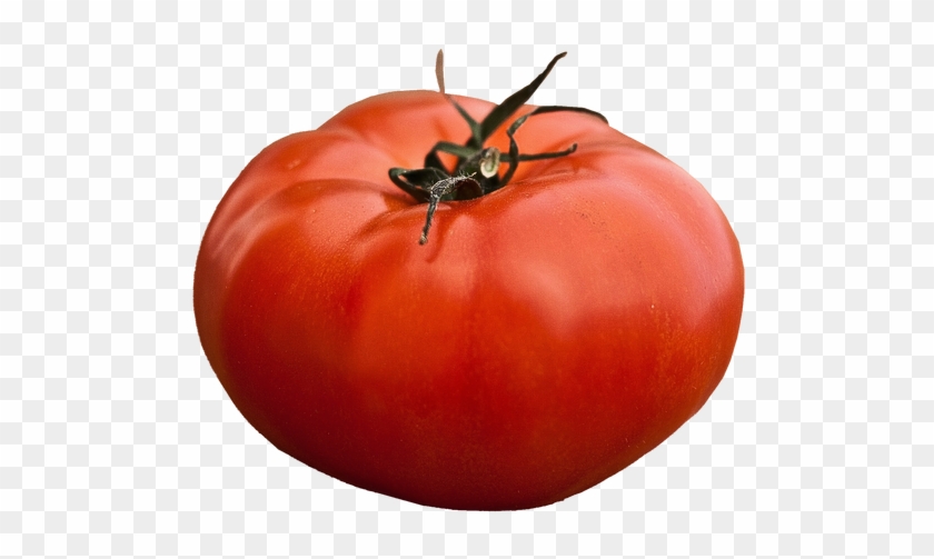 Triple L Crop Tomato Seeds Qty - 100 Beefsteak Tomato Seeds Lycopersicon Esculentum #1250204