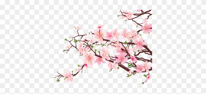 Cherry Blossom Hd Image Png Images - Japanese Cherry Blossom Png #1250206