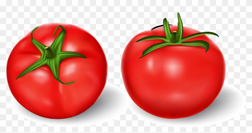 Tomato Royalty Free Vegetable Illustration - Tomato #1250215