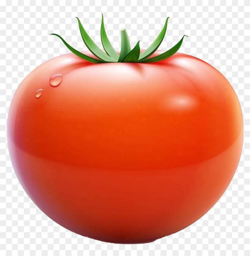 Plum Tomato Cherry Tomato Euclidean Vector - Red Tomato #1250227