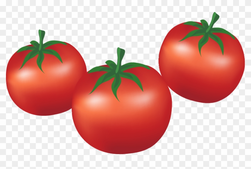 Plum Tomato Bush Tomato Cartoon Vegetable - Tomato Cartoon #1250235