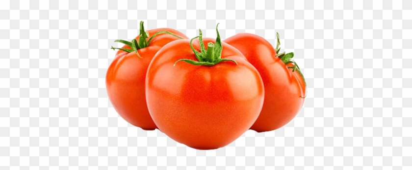 Tomato, Vine Ripe, 1lb - Scientific Name Of Tomato #1250239