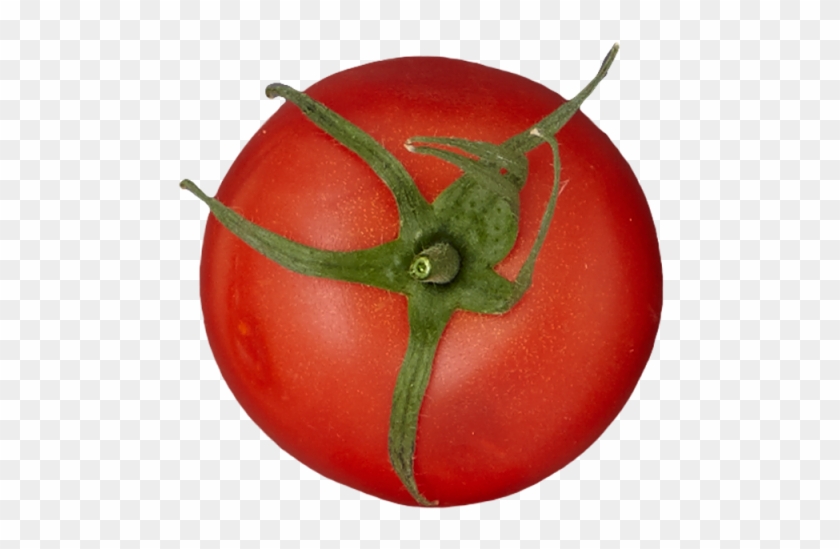 1 - Tomato - Plum Tomato #1250241