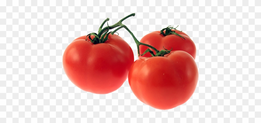 Tomato - Tomato #1250250