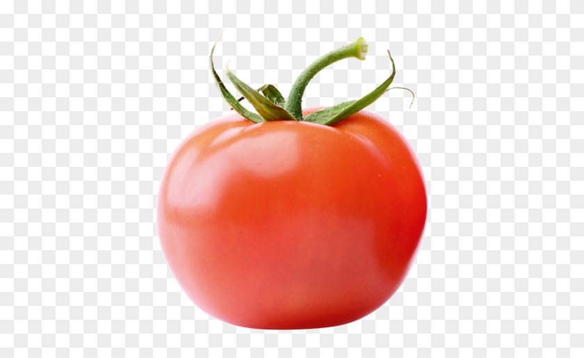 Tomatoes - Lycopersicon #1250252