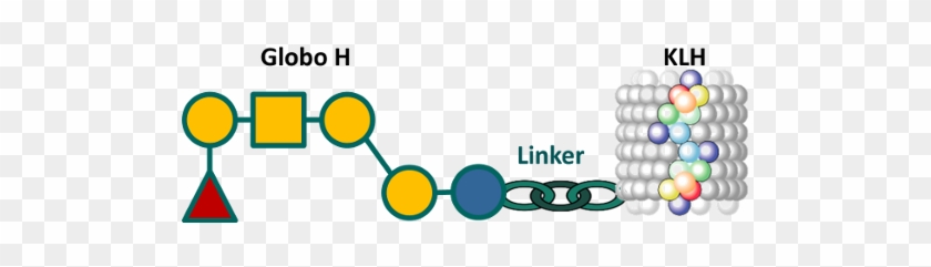 Adagloxad Simolenin Clinical Trial - Linker #1250349