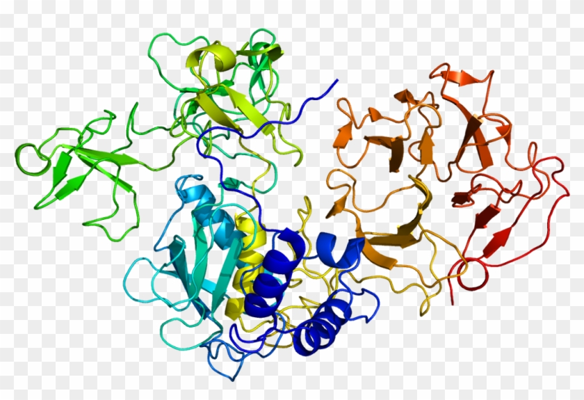 Mmp 2 Structure #1250359