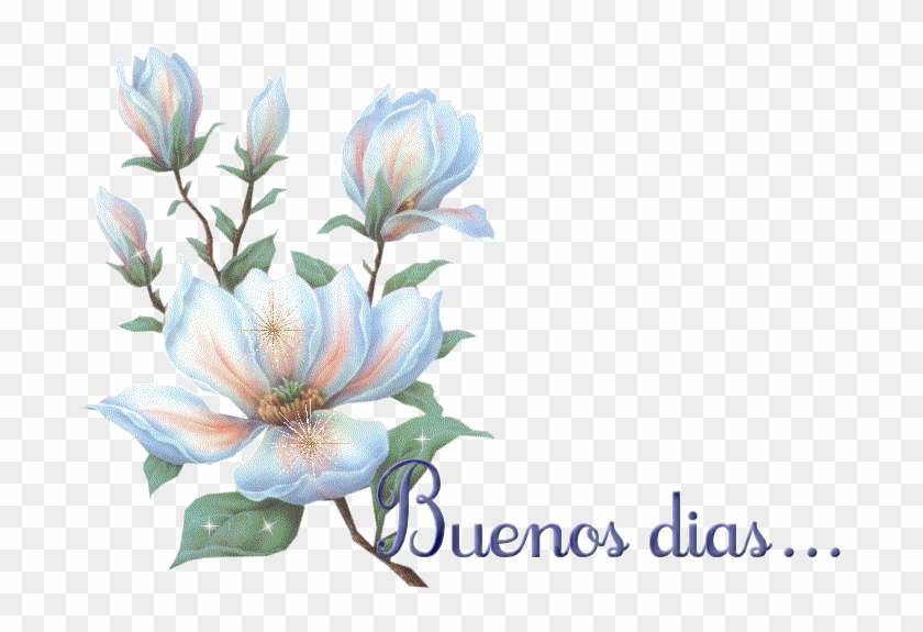 Fondos Para Ti - - - - - - - - - Buenos Dias Con Flores Blancas - Free  Transparent PNG Clipart Images Download