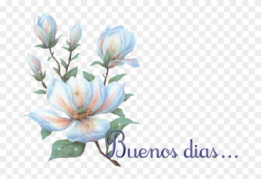 - - - - - - - - - - Fondos Para Ti - - - - - - - - - Buenos Dias Con Flores Blancas #1250433