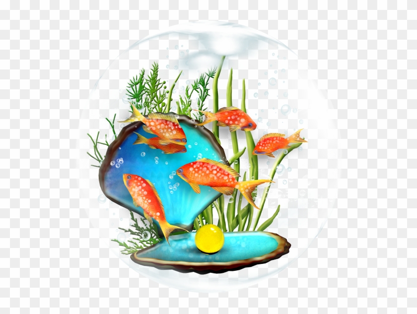 Fish Bowl Png-clipart - Fish #1250512