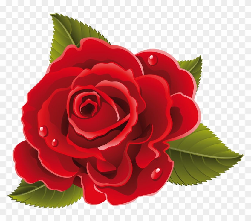 Rose Images, Paint Flowers, Red Roses, Beautiful Flowers, - Rosas Y Flores Animadas #1250525