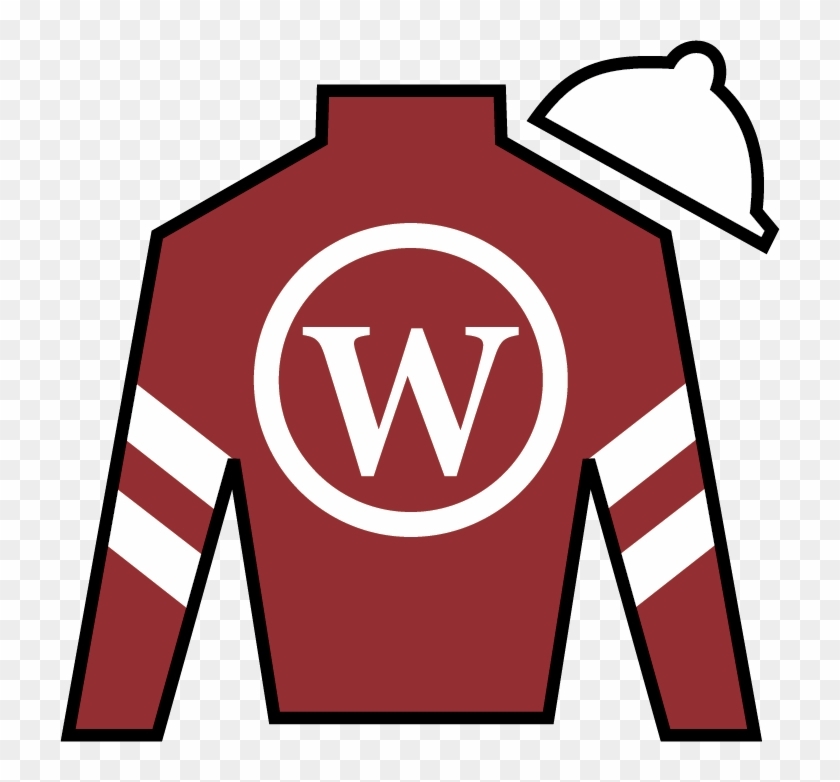 Combatant Winchell Thoroughbreds Llc & Willis Horton - China Horse Club Silks #1250690