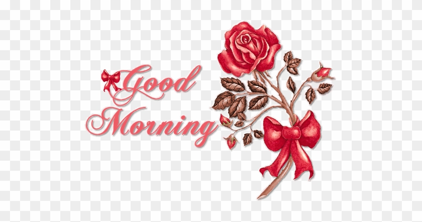 New Latest Good Morning Gif - Beautiful Gifs Of Flower Good Morning #1250726