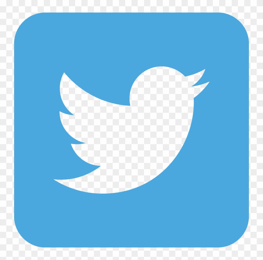 Tumblr Google Twitter Facebook - Twitter Icon Box #1251018