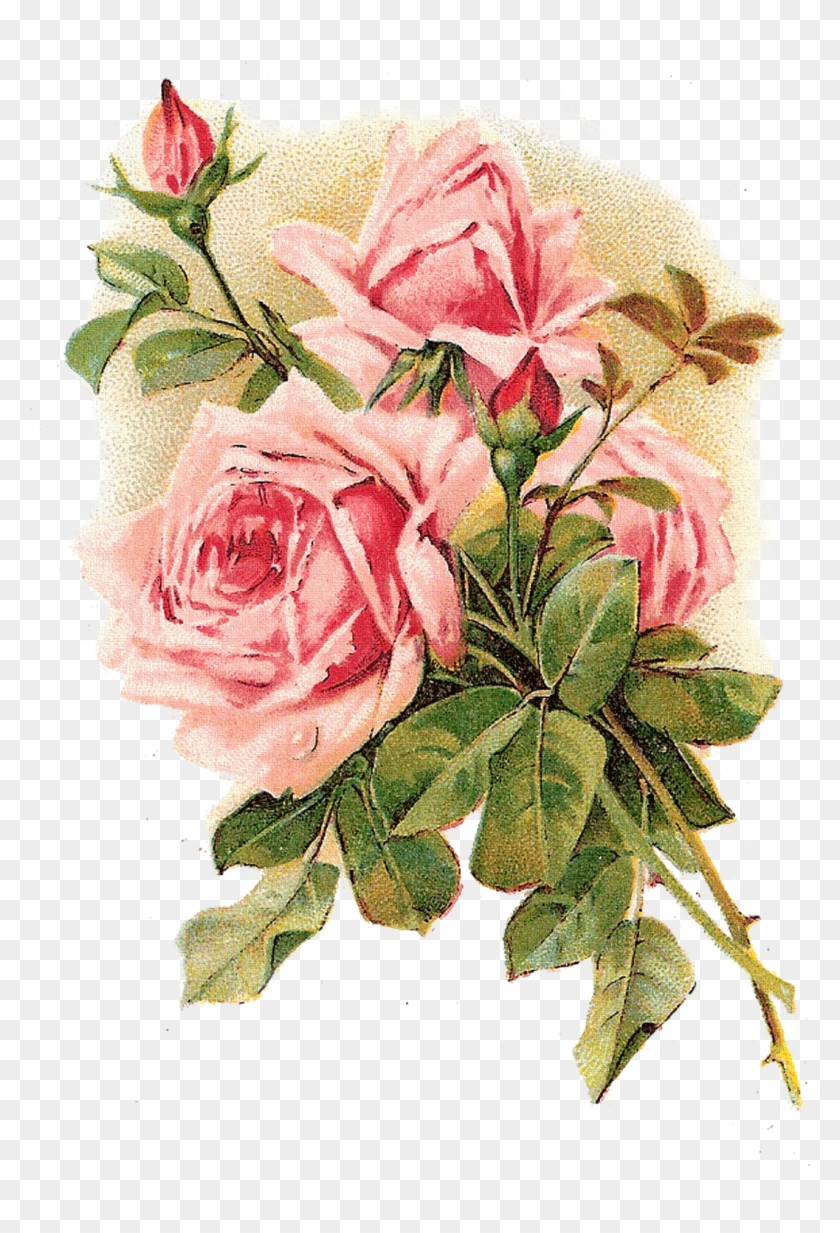 Rose Vintage Clothing Flower Pink Shabby Chic - Vintage Roses #1251566