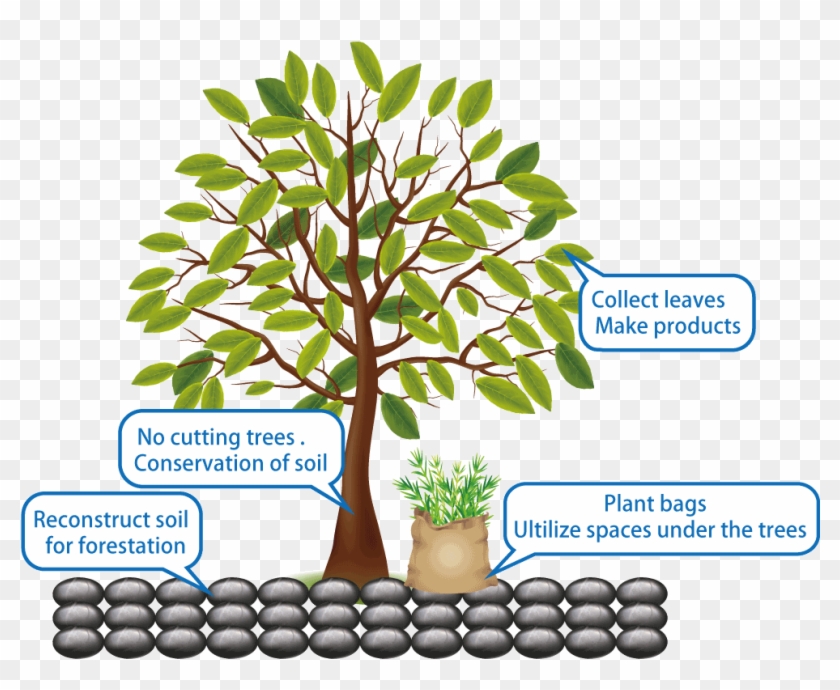 Not - 4 Årstider #1251624
