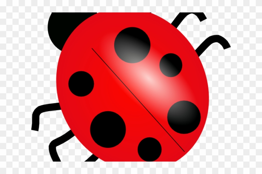 Ladybug Clip - Many Legs Does A Ladybug Have #1251729