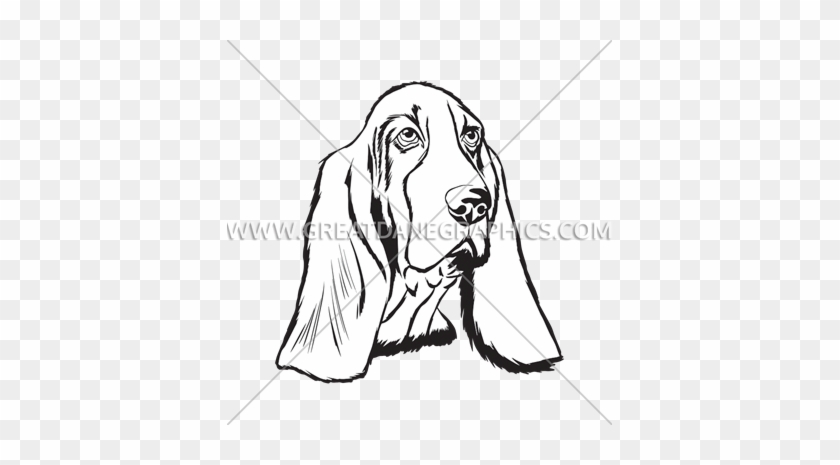Basset Hound Face - Basset Hound Face Black And White #1251922