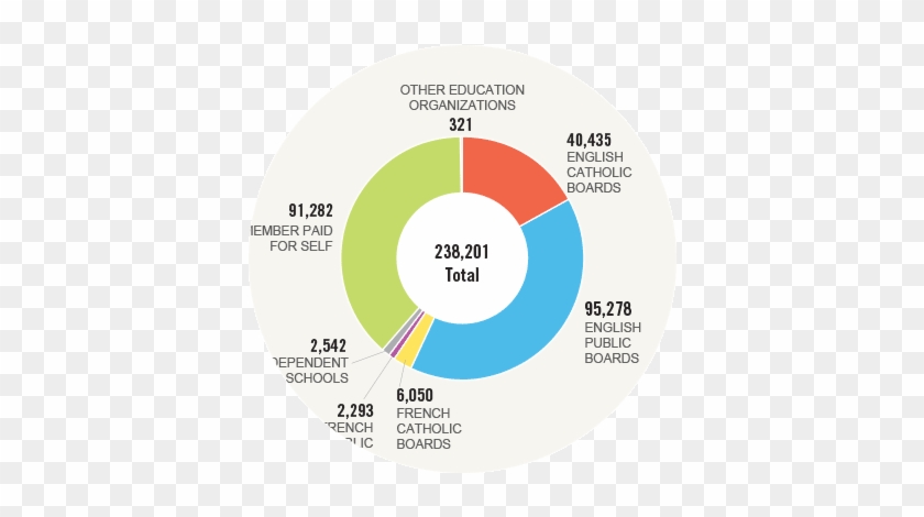 Graph Design - Pie Chart Annual Report #1251990