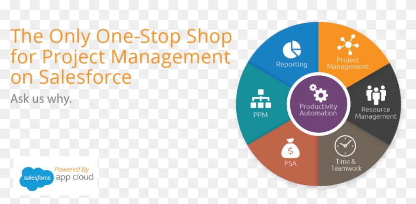 Your Project Management Coach Project Management Productivity - Your Project Management Coach Project Management Productivity #1252015