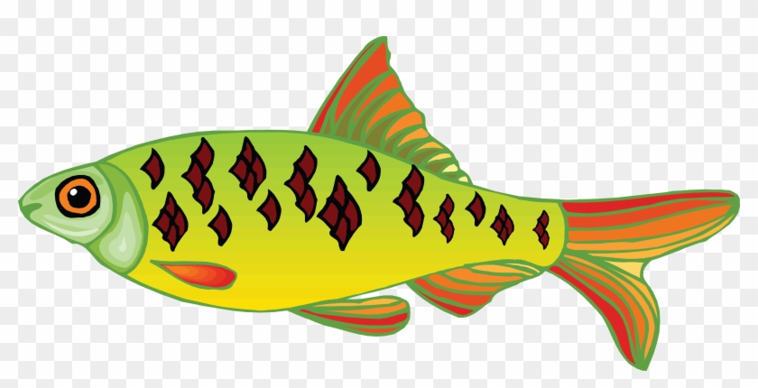 Мультяшная Рыба Пнг - Free Transparent PNG Clipart Images Download