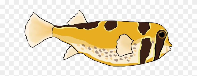 Masked Porcupine Fish Png - Pocupine Fish Drawing #1252211