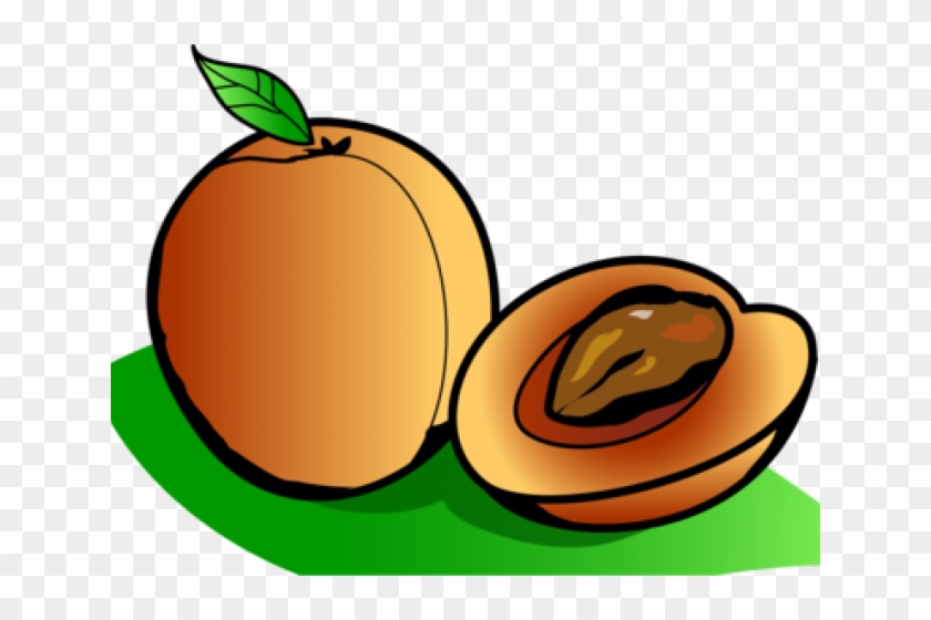 Apricots Cliparts - Cartoon Pictures Of Apricot #1252223