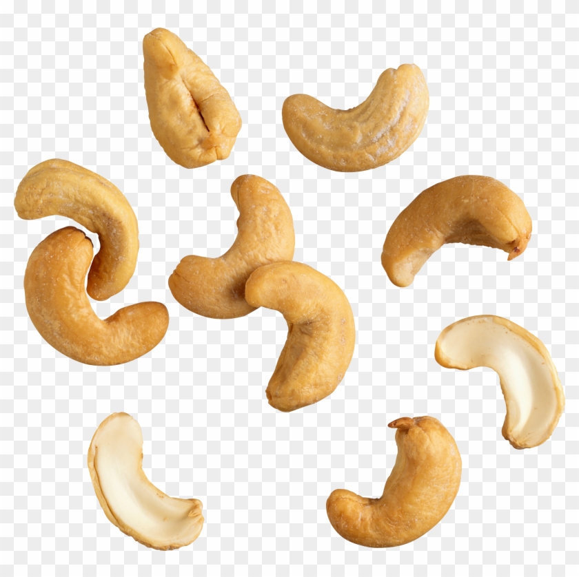 Cashew Hazelnut Dried Fruit Clip Art - Cashew Nut Png #1252307