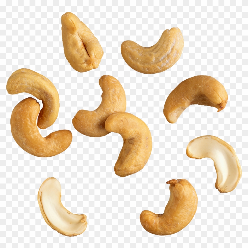 Cashew Hazelnut Dried Fruit Clip Art Cashew Nut Png Full Size PNG 