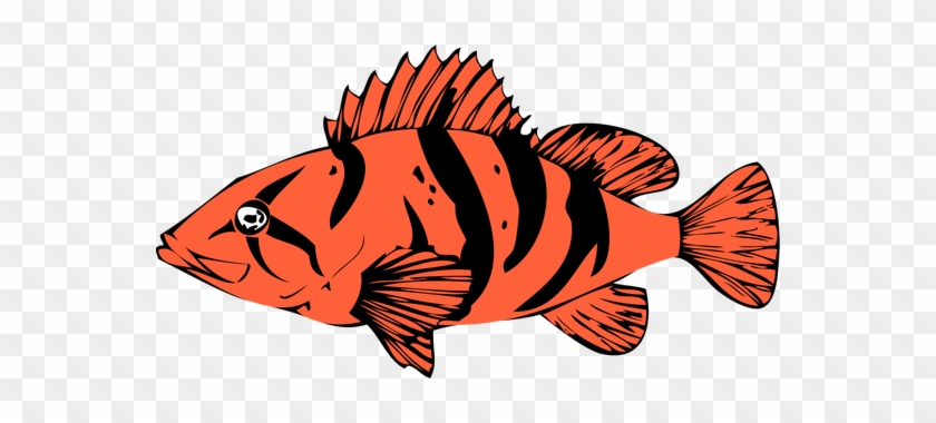 Marine Fish Clipart Rockfish - Saturna Island #1252863