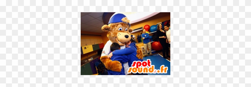 Vi Maskot Med En Hette - Clark The Cub #1253359