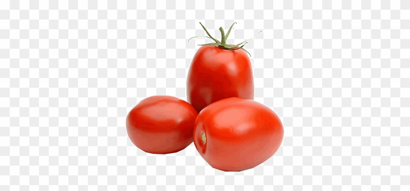 Plum - Plum Tomato #1253454