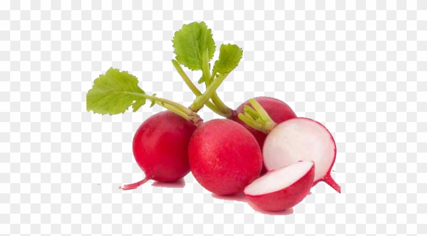 Leaf Vegetable Garden Radish Organic Food - Red Radishes #1253460