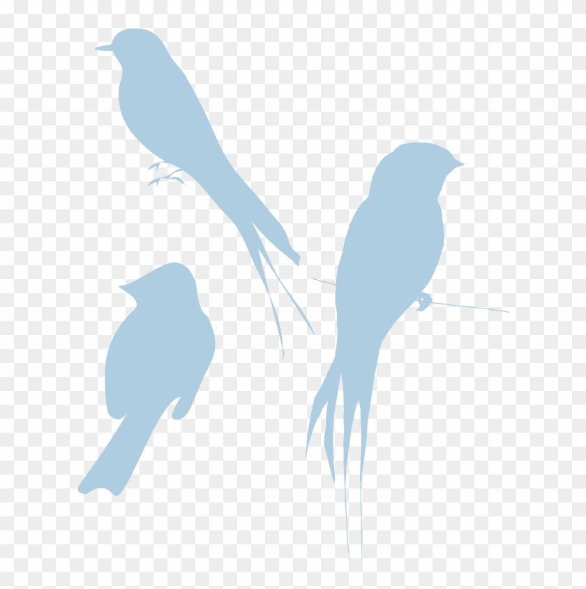 Image Blue Silhouette Birds Look Rh Animal Jam Clans - Graphic Design #1253723