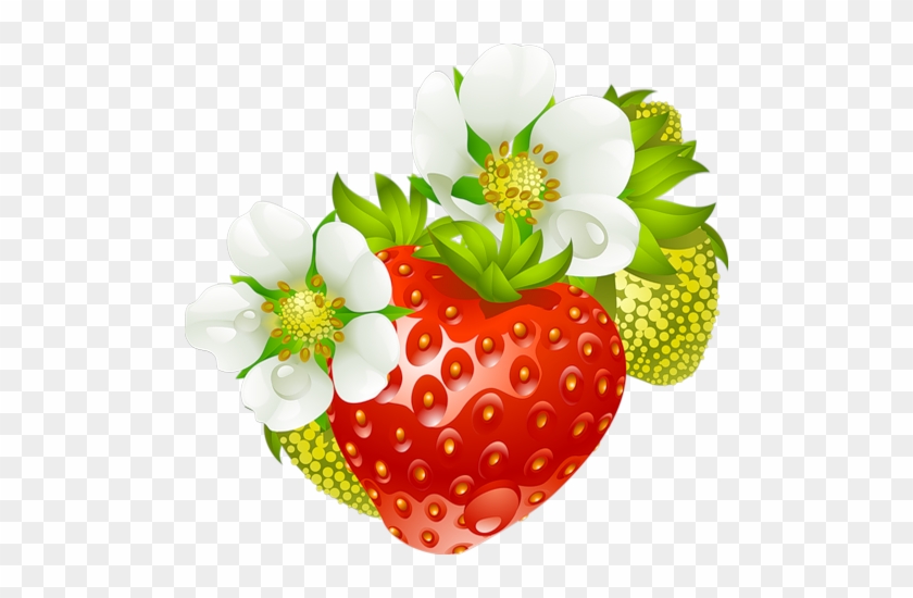 Fraisier - Strawberry Png - Erdbeere - Fresa - Cafepress Strawberry Fruit & Flowers Full/queen #1254135