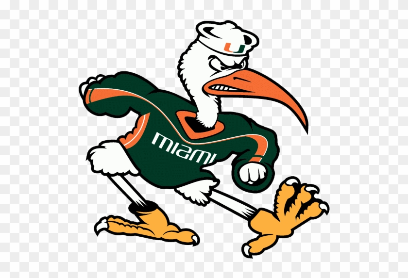 University Of Miami Chapter Endowment - University Of Miami Mascot #1254235