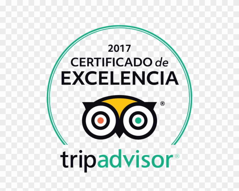 Suscripción Newsletter - Tripadvisor Certificate Of Excellence 2018 #1254391