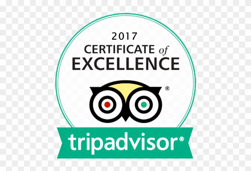 Tripadvisor - Certificate Of Excellence Tripadvisor #1254394