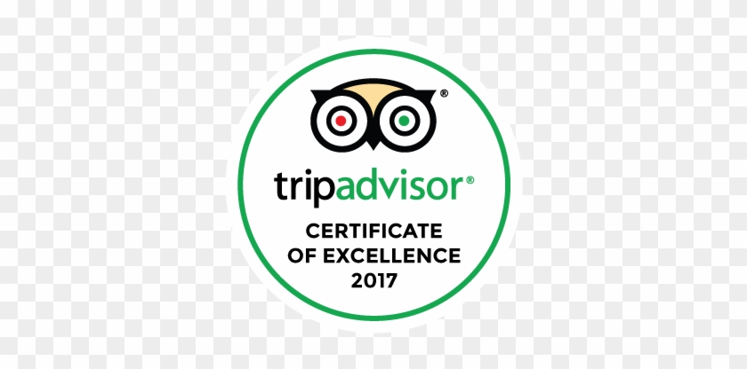 Trip Advisor #1254603