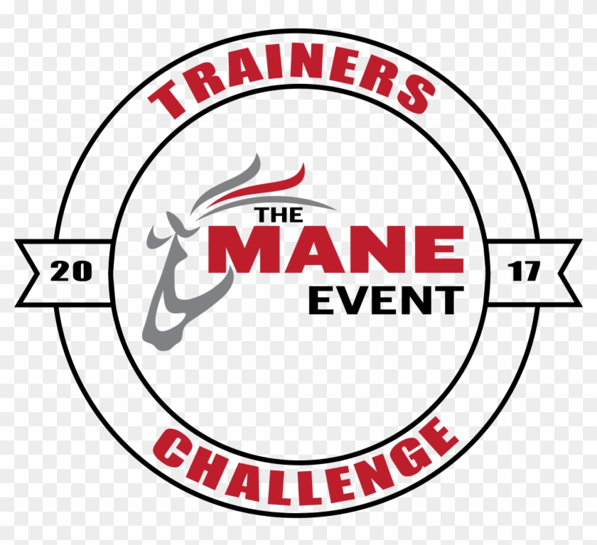 Trainers Challenge - Jnm Vinyl Studio Detailed Stylizied Racing Horse #1254652