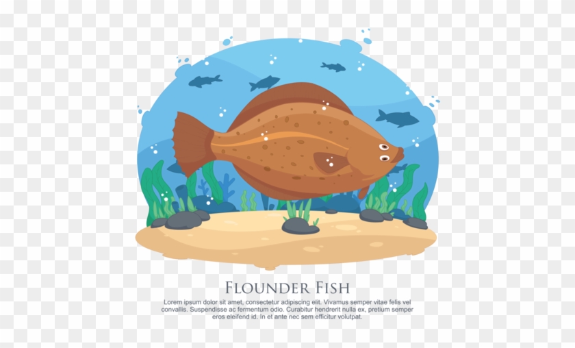 Flounder Fish Vector Illustration - Vector Graphics #1255055