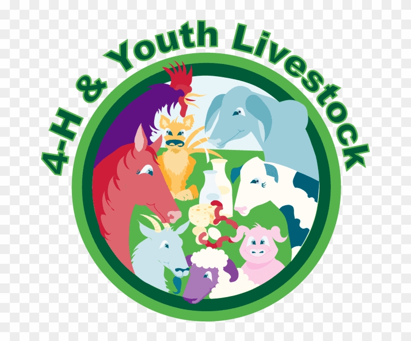 4 H Youth Livestock Program Updates Clover Gazette - Livestock 4 H #1255097