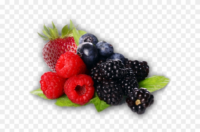 Berries Cliparts - Berries Png #1255437