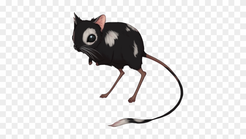 Black Piebald By Windwolvesarpg - Kangaroo Rat #1255901