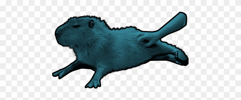 Mouse #1255969