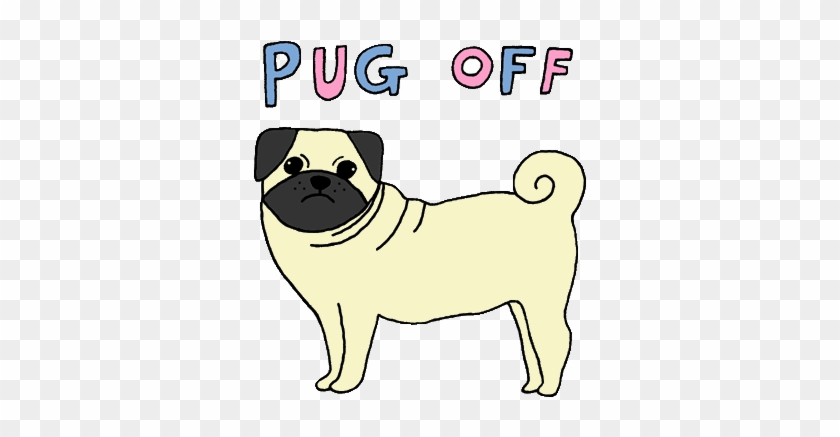 Discover - Cute Cartoon Pug Gif #1256015